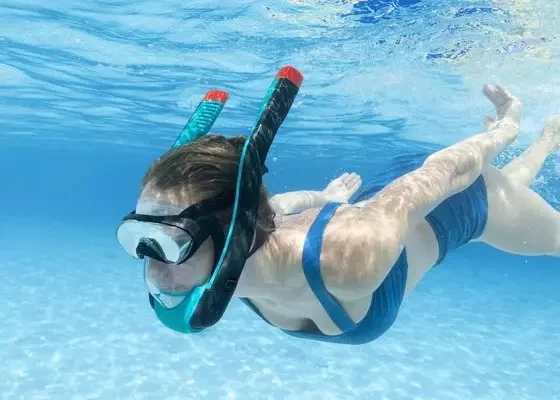 1. pasadia premium webp 2