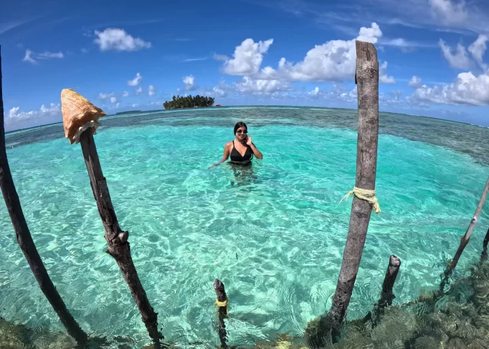 3. pasadia premium webp scaled