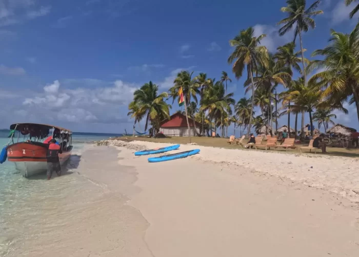 4. pasadia casa de papel WEBP