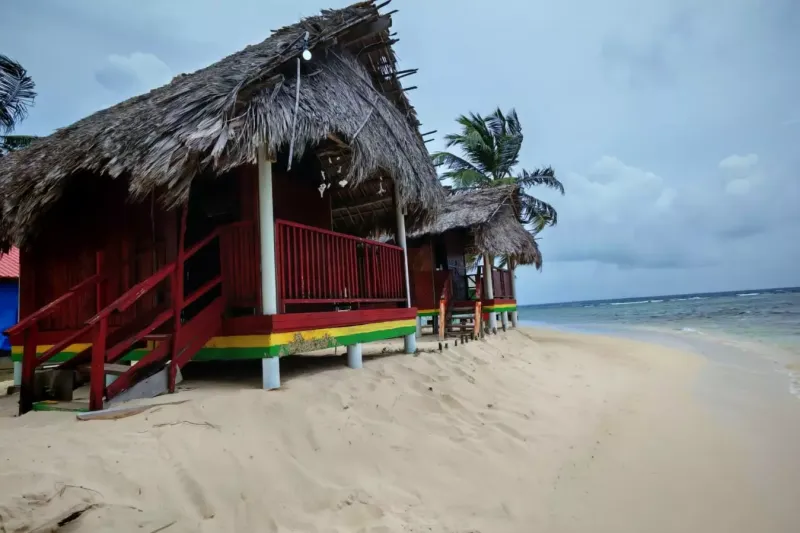 Isla Chichime San Blas Playa y palmeras en Isla Chichime Tubasenika
